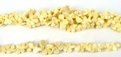 Coral Natural T/drill Teardrop grad beads per strand 94 Bead-beads incl pearls-Beadthemup