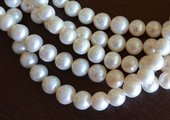 Fresh Water Pearl almost round loose 12mm EACH-beads incl pearls-Beadthemup