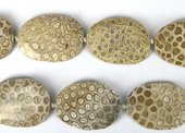 Fossilized Coral Faceted flat nugget 55x40 EACH bead-coral-Beadthemup