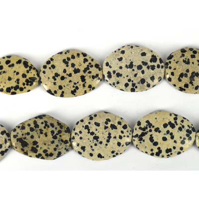 Dalmatian Jasper polished flat nugget approx 40x30 EACH bead