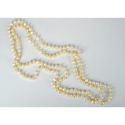 Fresh Water Pearl 8x10mm knotted necklace 165cm