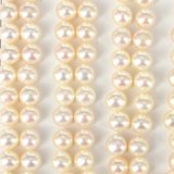 Fresh Water Pearl Half Drill Button Cream 6-6.5mm PAIR-beads incl pearls-Beadthemup