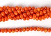 Coral Orange Rondel 10x8mm strand 52 beads-beads incl pearls-Beadthemup
