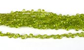 Peridot Fac.flat Top drill Briolette app 5x6mm str 66 beads-beads incl pearls-Beadthemup