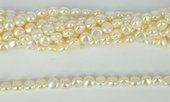 Fresh Water Pearl 8mm flat round strand 50 pearls-beads incl pearls-Beadthemup