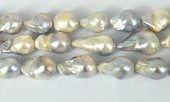 Fresh Water Pearl White/Silver Baroque app 16x22mm str 15 Pearls-beads incl pearls-Beadthemup
