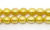 South Sea Pearl yellow 8-10mm EACH Pearl-beads incl pearls-Beadthemup