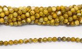 Picture Jasper Polished Round 6mm strand 63 beads-beads incl pearls-Beadthemup