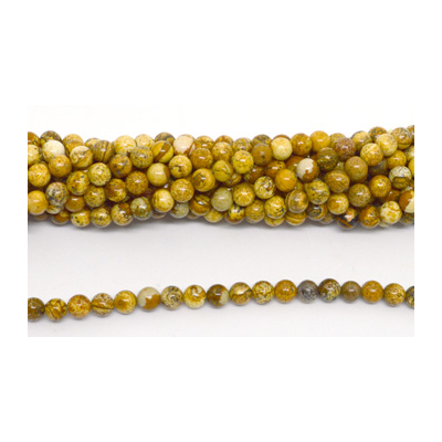 Picture Jasper Polished Round 6mm strand 63 beads