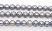 Fresh Water Pearl Round grey 12mm EACH PEARL-beads incl pearls-Beadthemup