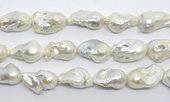 Fresh Water Pearl AAA LARGE Baroque 31-35x17-18mm EACH-beads incl pearls-Beadthemup