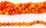 Orange Agate Polished Round 12mm strand 37 beads