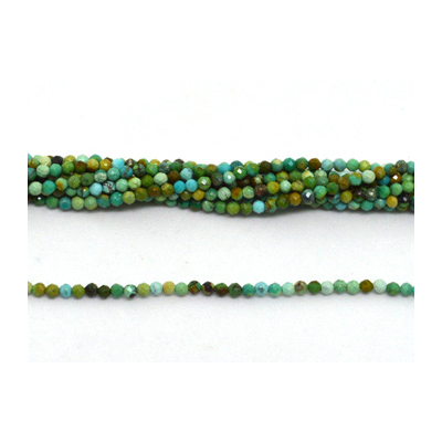 Turquoise  Faceted Round 2mm strand 200 beads