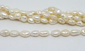 Fresh Water Pearl Keshi app 12x8mm app 26 beads per strand-beads incl pearls-Beadthemup