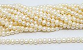 Fresh Water Pearl Potato circles 7.5x8mm str 51 beads-beads incl pearls-Beadthemup