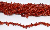 Coral Red Stick approx 12x3mm strand approx 115 beads-beads incl pearls-Beadthemup