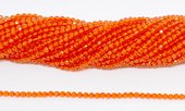 Chinese Crystal Orange 3mm Fac.round str 125 beads 37cm-beads incl pearls-Beadthemup