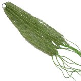  A Tassel Peridot Faceted 2mm 80mm 15 lines S.Silver ring-beads incl pearls-Beadthemup