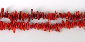 Coral Red Top drill stick approx 8mm strand-beads incl pearls-Beadthemup