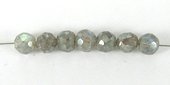 Labradorite Coated 5mm Faceted Round Bead-beads incl pearls-Beadthemup