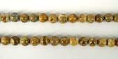 Picture Jasper Polished Round 10mm beads per strand 40Beads-beads incl pearls-Beadthemup