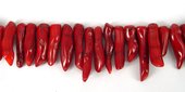 Coral Red Chilli 50mm beads per strand approx 36 Beads-beads incl pearls-Beadthemup