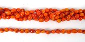 Coral Orange flat coin Nugget 8mm/47Beads-beads incl pearls-Beadthemup