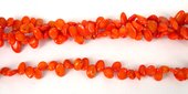 Coral T/Drill Nugget 9mm beads per strand 76Beads-beads incl pearls-Beadthemup