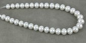 South Sea Pearl app 11x13mm per PAIR-beads incl pearls-Beadthemup