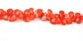 Coral Apricot top drill Teardrop 15x11mm-beads incl pearls-Beadthemup