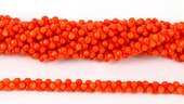 Coral Orange s/Drill Peanut 3x6mm beads per strand 18-beads incl pearls-Beadthemup