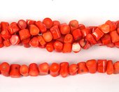 Coral Apricot S/Drill Tube 10mm strand-beads incl pearls-Beadthemup