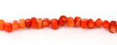 Coral Apricot S/Drill tube app 5x6mm strand-beads incl pearls-Beadthemup