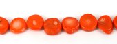 Coral Apricot  Coin nugget app 17mm stranda-beads incl pearls-Beadthemup