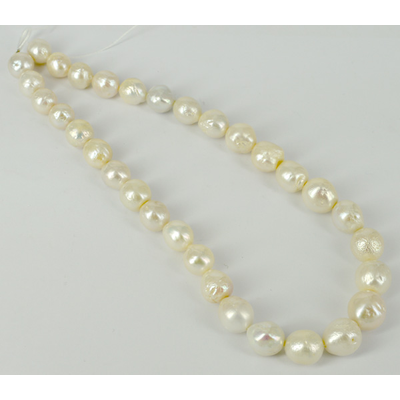 Fresh Water Pearl AAA Baroque Grad 10-15mm strandan