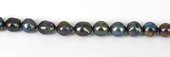 Fresh Water Pearl AAA Black Baroque 18+mm strand-beads incl pearls-Beadthemup