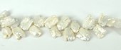 Fresh Water Pearl Biwa T/Drill approx 18mm strandan-beads incl pearls-Beadthemup