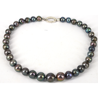 45cm Sterling Silver  & Fresh Water Edison Black 10-16mm Pea