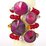 Agate Dyed Connecter Gold 48x35mm Pink