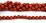 Sponge Coral 10mm round beads per strand 40Beads