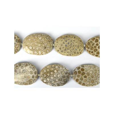 Fossilized Coral Faceted flat nugget 55x40 EACH bead