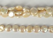 Fresh Water Coin Pearl 14mm strand 27 pearls-f.w.pearls from $100-Beadthemup