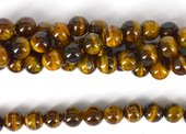 Tiger Eye Polished Round 10mm strand 40 beads-tiger eye-Beadthemup