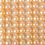 Fresh Water Pearl Half Drill Button Cream 5.5-6mm PAIR-pearls-Beadthemup