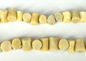 LAST STRANDS Coral Cream Side drill tube 14x11mm strand 34 beads-beads incl pearls-Beadthemup