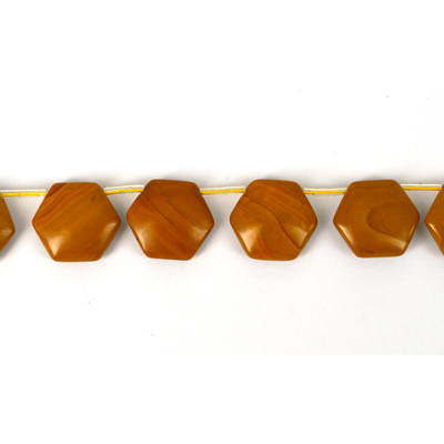 Jasper Hexagon Pol. 20mm Top Drill Str 16 beads
