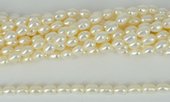Fresh Water Pearl 6-7x8mm Rice strand 47 pearls-pearls-Beadthemup