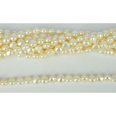 Fresh Water Pearl 8mm flat round strand 50 pearls