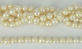 Fresh Water Pearl 11-12mm nearly round with circles strand 33 pearls-pearls-Beadthemup