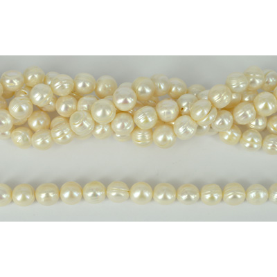 Fresh Water Pearl 11-12mm nearly round with circles strand 33 pearls